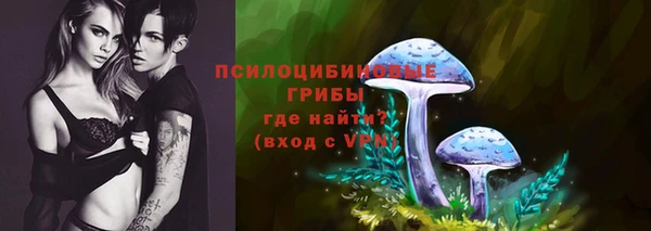 гидропоника Бугульма