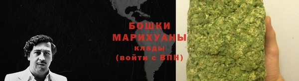 МДПВ Бронницы