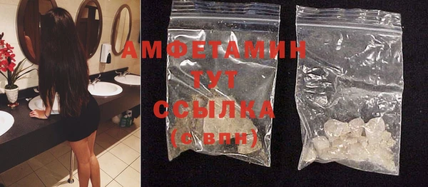 гашик Новозыбков